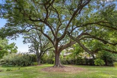 Tucked beneath a canopy of majestic live oaks on coveted Second - photo 40