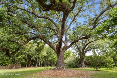 Tucked beneath a canopy of majestic live oaks on coveted Second - photo 41
