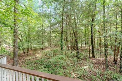 This spacious home sits on a beautiful 1.8-acre corner tract and - photo 44
