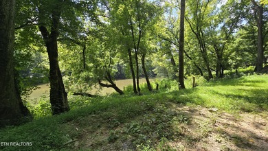 (private lake, pond, creek) Lot For Sale in Tazewell Tennessee