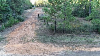 Lake Sam Rayburn  Acreage For Sale in Jasper Texas