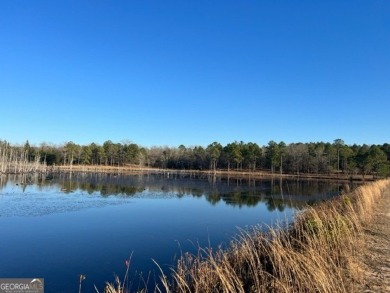Lake Acreage For Sale in Butler, Georgia