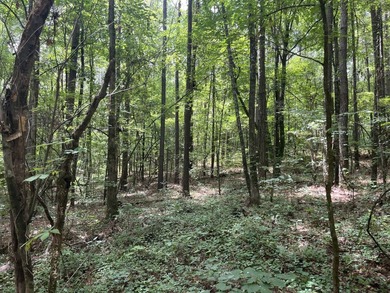 The Location & Access: This property consists of 65 acres in - photo 8