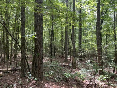 The Location & Access: This property consists of 65 acres in - photo 9