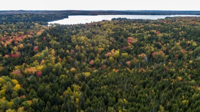 Lake Acreage For Sale in Whiting, Maine