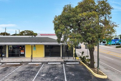Owner Financing Availablemercial plaza on main thoroughfare in - photo 14