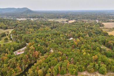 Nestled in the heart of nature's beauty, we have a hidden gem - photo 4