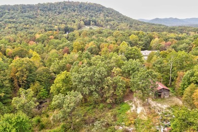 Nestled in the heart of nature's beauty, we have a hidden gem - photo 7
