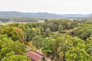 Nestled in the heart of nature's beauty, we have a hidden gem - photo 8
