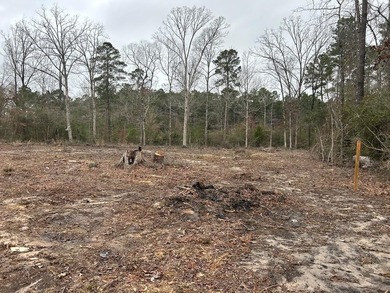 Lake Sam Rayburn  Lot For Sale in Huntington Texas