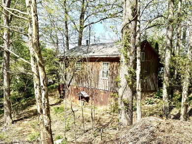 Lake Home For Sale in Monticello, Kentucky