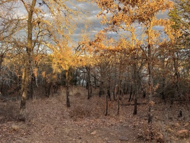 2 Waterfront Lots On Amon Carter Lake - photo 9
