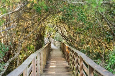 Nestled in the ultimate geographic SWEET SPOT between historic - photo 10