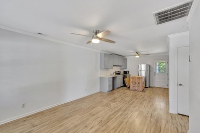 The renovation is underway.767 Bermuda Street in Charleston, SC - photo 6