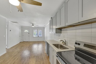 The renovation is underway.767 Bermuda Street in Charleston, SC - photo 8