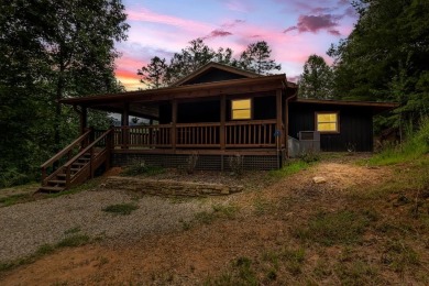 Lake Home For Sale in Morganton, Georgia