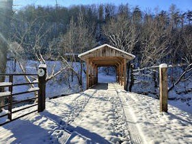 Lake Home For Sale in Stanton, Kentucky