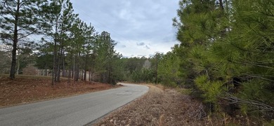 Lake Sam Rayburn  Lot For Sale in Brookeland Texas