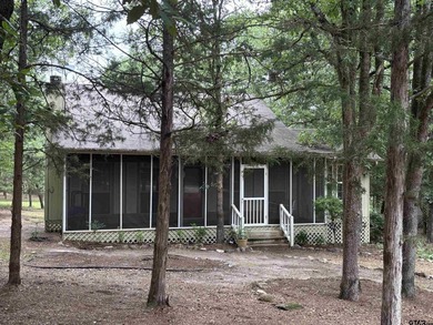Come experience this beautiful and cozy two-bedroom, two-bath - photo 1