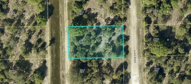 Lehigh Acres Area Lot For Sale in Lehigh Acres Florida