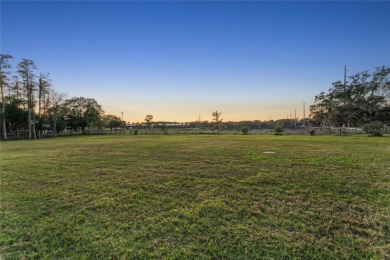 Lake Acreage For Sale in Odessa, Florida