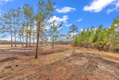 Additional listing photo 3