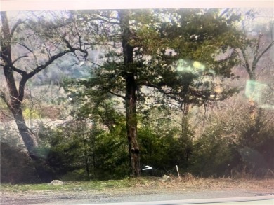 Lake Lot For Sale in Holiday Island, Arkansas