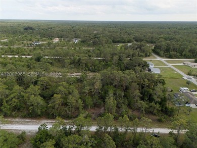 Build your dream home on this spacious 0.50-acre vacant lot - photo 4