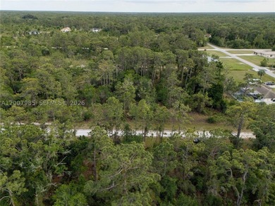 Build your dream home on this spacious 0.50-acre vacant lot - photo 5