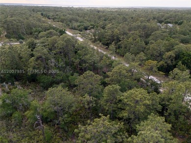 Build your dream home on this spacious 0.50-acre vacant lot - photo 8