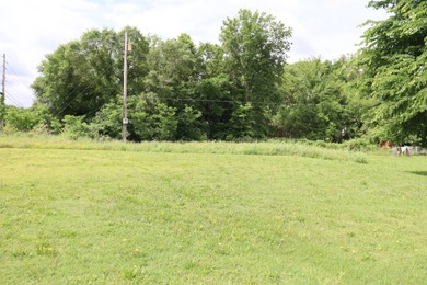Stockton Lake Lot For Sale in Stockton Missouri