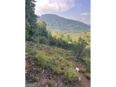 Lake Acreage For Sale in Clayton, Georgia