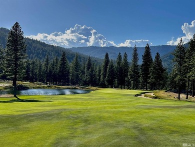 Embrace the potential of this amazing 3/4-acre Clear Creek Tahoe - photo 17