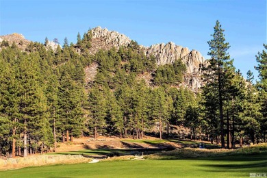 Embrace the potential of this amazing 3/4-acre Clear Creek Tahoe - photo 20