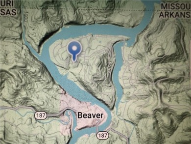 Table Rock Lake - Carroll County Lot For Sale in Holiday Island Arkansas