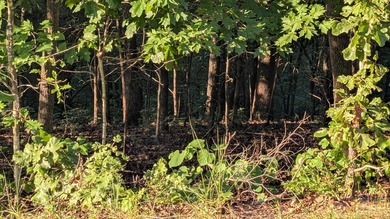 Lake Thunderbird Acreage For Sale in Cherokee Village Arkansas