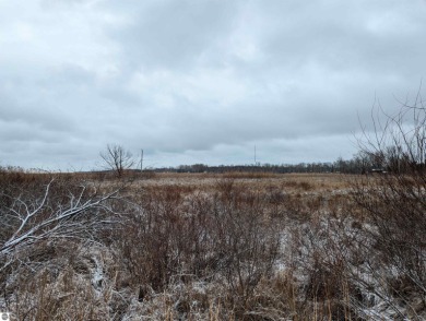 Lake Huron - Arenac County Acreage For Sale in Au Gres Michigan