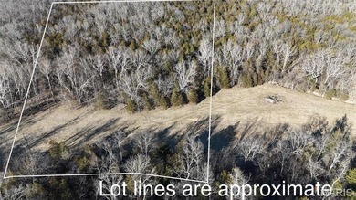 Lake Acreage For Sale in Festus, Missouri