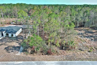 Lake Lot For Sale in Lehigh Acres, Florida