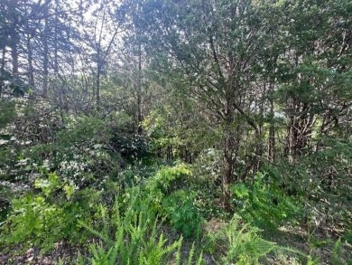 Lake Lot For Sale in Sevierville, Tennessee