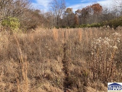 (private lake, pond, creek) Acreage For Sale in West Terre Haute Indiana