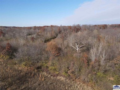 31 Acres of Prime Deer Hunting Land | Vigo County, Indiana - photo 2