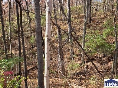 31 Acres of Prime Deer Hunting Land | Vigo County, Indiana - photo 3