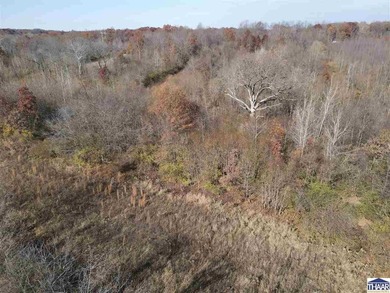 31 Acres of Prime Deer Hunting Land | Vigo County, Indiana - photo 4