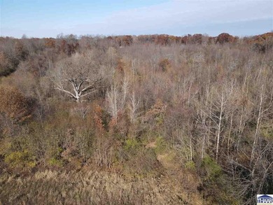 31 Acres of Prime Deer Hunting Land | Vigo County, Indiana - photo 5