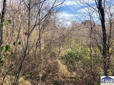 31 Acres of Prime Deer Hunting Land | Vigo County, Indiana - photo 6