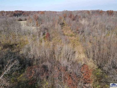 31 Acres of Prime Deer Hunting Land | Vigo County, Indiana - photo 7