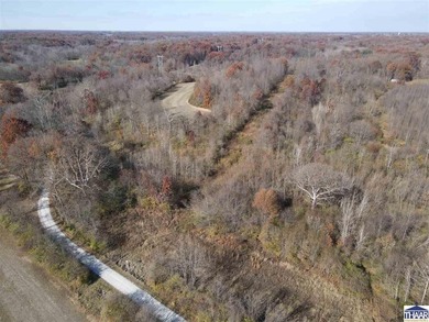 31 Acres of Prime Deer Hunting Land | Vigo County, Indiana - photo 9