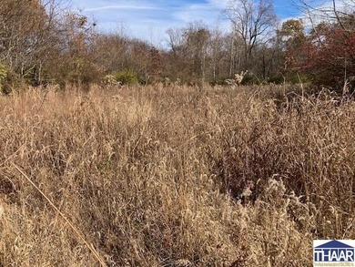 31 Acres of Prime Deer Hunting Land | Vigo County, Indiana - photo 10