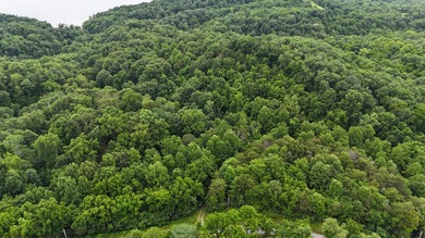 Douglas Lake Lot For Sale in Baneberry Tennessee